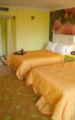Туры в отель Hotel Indigo Miami Lakes Туры в отель Hotel Indigo Miami Lakes