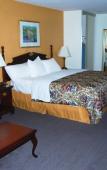 Туры в отель Best Western Sandman Motel Туры в отель Best Western Sandman Motel
