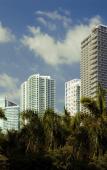 Туры в отель Tempo Miami Туры в отель Tempo Miami