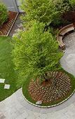 Туры в отель Le Meridien Cambridge Туры в отель Le Meridien Cambridge