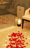 Туры в отель Grove Isle Hotel & Spa Туры в отель Grove Isle Hotel & Spa