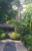 Туры в отель Gems Of Sri Lanka Туры в отель Gems Of Sri Lanka