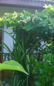 Туры в отель Gems Of Sri Lanka Туры в отель Gems Of Sri Lanka