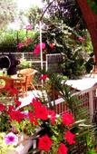 Туры в отель Club Hotel Iliochari Туры в отель Club Hotel Iliochari