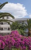 Туры в отель Club Hotel Iliochari Туры в отель Club Hotel Iliochari