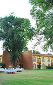 Туры в отель Villas Arqueologicas Cholula Туры в отель Villas Arqueologicas Cholula