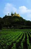 Туры в отель Villas Arqueologicas Cholula Туры в отель Villas Arqueologicas Cholula