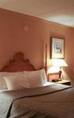 Туры в отель Windsor Gardens Туры в отель Windsor Gardens