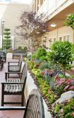 Туры в отель Inn At The Peachtrees Туры в отель Inn At The Peachtrees