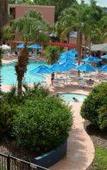 Туры в отель Comfort Suites Universal South Туры в отель Comfort Suites Universal South