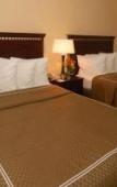 Туры в отель Comfort Suites Universal South Туры в отель Comfort Suites Universal South