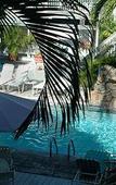 Туры в отель Eden House Florida Туры в отель Eden House Florida