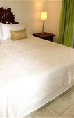 Туры в отель The Bric Hotel Туры в отель The Bric Hotel