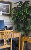 Туры в отель Quality Inn Central Туры в отель Quality Inn Central