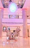 Туры в отель Dream Cochin Туры в отель Dream Cochin