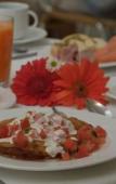 Туры в отель Casa Mexicana Cozumel Туры в отель Casa Mexicana Cozumel