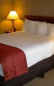 Туры в отель Holiday Inn Select Cherry Creek Туры в отель Holiday Inn Select Cherry Creek