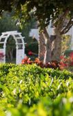 Туры в отель Hilton Marsa Alam Nubian Resort Туры в отель Hilton Marsa Alam Nubian Resort