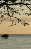 Туры в отель Anchorage Beach Resort Туры в отель Anchorage Beach Resort