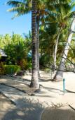 Туры в отель Wananavu Beach Resort Туры в отель Wananavu Beach Resort