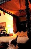 Туры в отель Barcelo The Lygon Arms Туры в отель Barcelo The Lygon Arms
