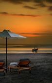 Туры в отель The Seiryu Villas Туры в отель The Seiryu Villas