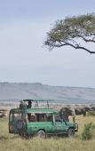 Туры в отель Mara Serena Safari Lodge Туры в отель Mara Serena Safari Lodge