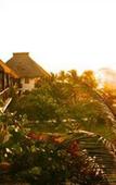 Туры в отель Cabanas Los Lirios Tulum Туры в отель Cabanas Los Lirios Tulum