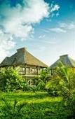 Туры в отель Cabanas Los Lirios Tulum Туры в отель Cabanas Los Lirios Tulum