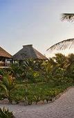 Туры в отель Cabanas Los Lirios Tulum Туры в отель Cabanas Los Lirios Tulum