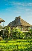Туры в отель Cabanas Los Lirios Tulum Туры в отель Cabanas Los Lirios Tulum