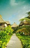 Туры в отель Cabanas Los Lirios Tulum Туры в отель Cabanas Los Lirios Tulum