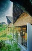 Туры в отель Cabanas Los Lirios Tulum Туры в отель Cabanas Los Lirios Tulum