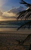 Туры в отель Cabanas Los Lirios Tulum Туры в отель Cabanas Los Lirios Tulum