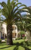 Туры в отель Globales Bouganvilla Туры в отель Globales Bouganvilla