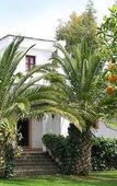 Туры в отель Taray Botanico Туры в отель Taray Botanico