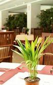 Туры в отель Vime Islantilla Туры в отель Vime Islantilla