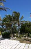 Туры в отель Stella Maris Resort Club Туры в отель Stella Maris Resort Club