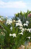 Туры в отель Aphrodite Beach Туры в отель Aphrodite Beach