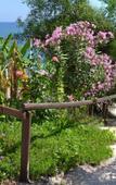 Туры в отель Aphrodite Beach Туры в отель Aphrodite Beach
