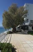 Туры в отель Siagas Beach Hotel Туры в отель Siagas Beach Hotel
