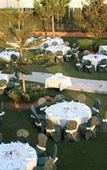 Туры в отель Hotel Cortijo Chico Туры в отель Hotel Cortijo Chico