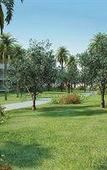 Туры в отель Salgados Palm Village Apartments & Suites Туры в отель Salgados Palm Village Apartments & Suites