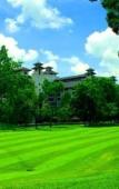 Туры в отель Pulai Springs Resort Туры в отель Pulai Springs Resort