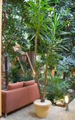Туры в отель Spa Hotel Bankya Palace Туры в отель Spa Hotel Bankya Palace