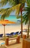 Туры в отель The Palms Resort Туры в отель The Palms Resort