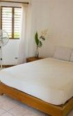 Туры в отель The Palms Resort Туры в отель The Palms Resort