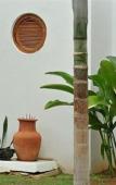 Туры в отель The Palms Resort Туры в отель The Palms Resort