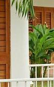 Туры в отель The Palms Resort Туры в отель The Palms Resort