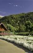 Туры в отель Carmel Valley Ranch Туры в отель Carmel Valley Ranch